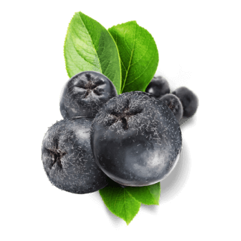 Aroniabeeren